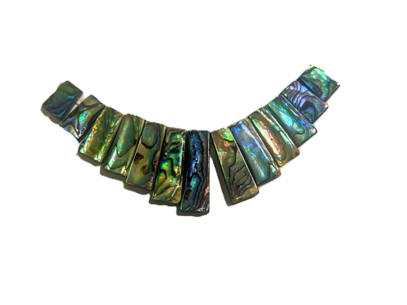  Abalone Paua shell rectangular beads on string