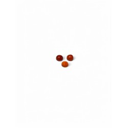 Carnelian Cabochons, Round, 4mm