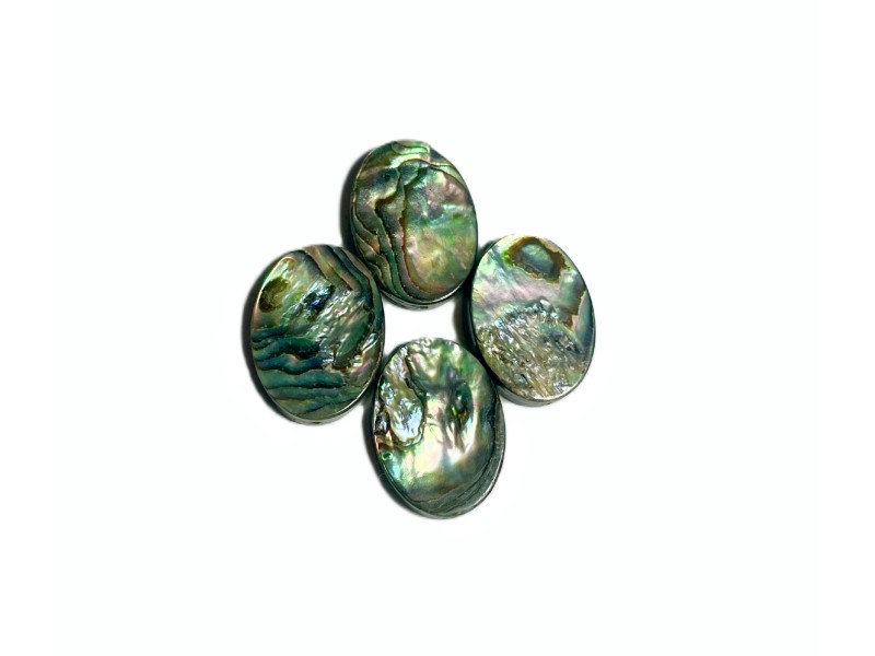 Abalone flat oval beads singles 13x18mm 