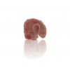 CORAL Little Elephant Beads