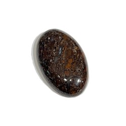 26ct AGATISED DINOSAUR BONE 3X1.8CM cabochon