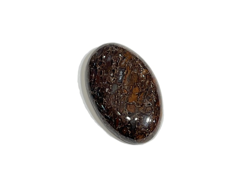 26ct AGATISED DINOSAUR BONE 3X1.8CM cabochon