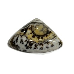 16ct SILVER LACE ONYX 2.5CM cabochon