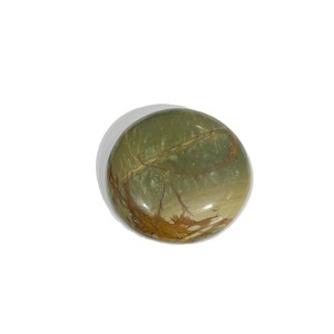 41ct SONORAN JASPER 3cm CABOCHON