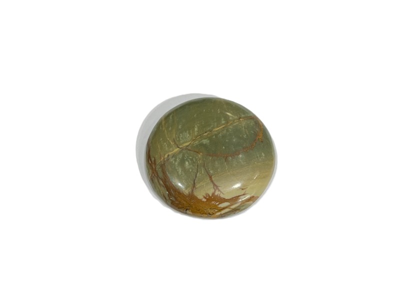 41ct SONORAN JASPER 3cm CABOCHON