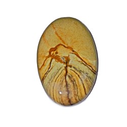 31.8Ct WILD HORSE JASPER 3.6X2CM cabochon