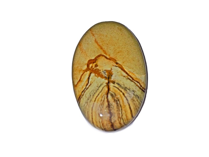 31.8Ct WILD HORSE JASPER 3.6X2CM cabochon